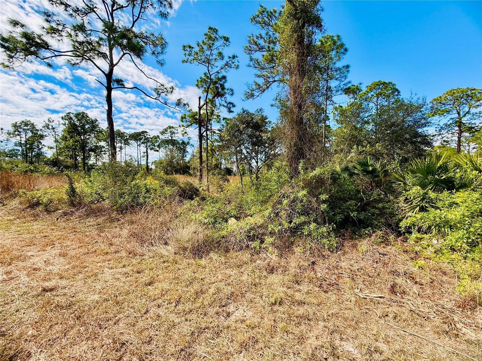 2007 TRUMAN AVE, Alva, FL 33920