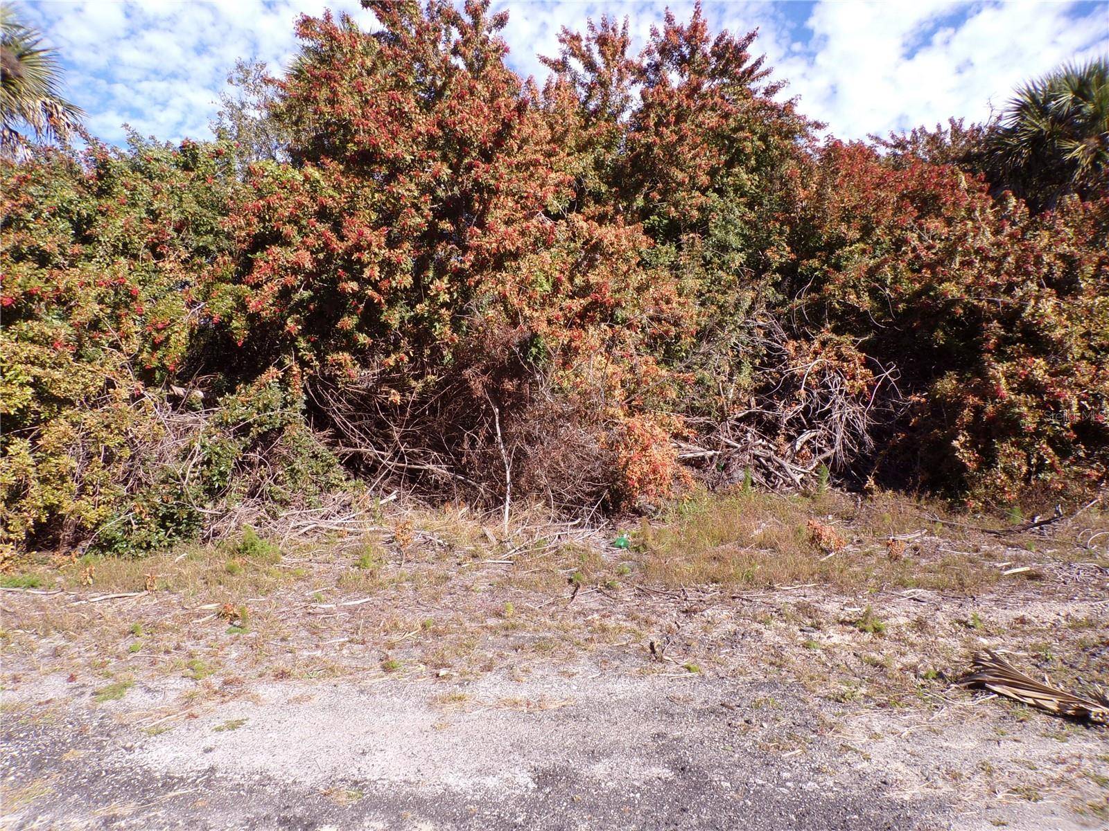 CRIMSONGLORY RD, North Port, FL 34288