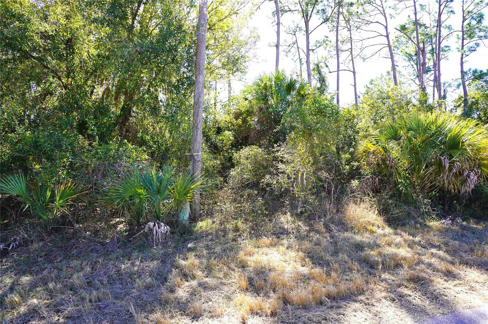 SEDBERRY AVE, North Port, FL 34288