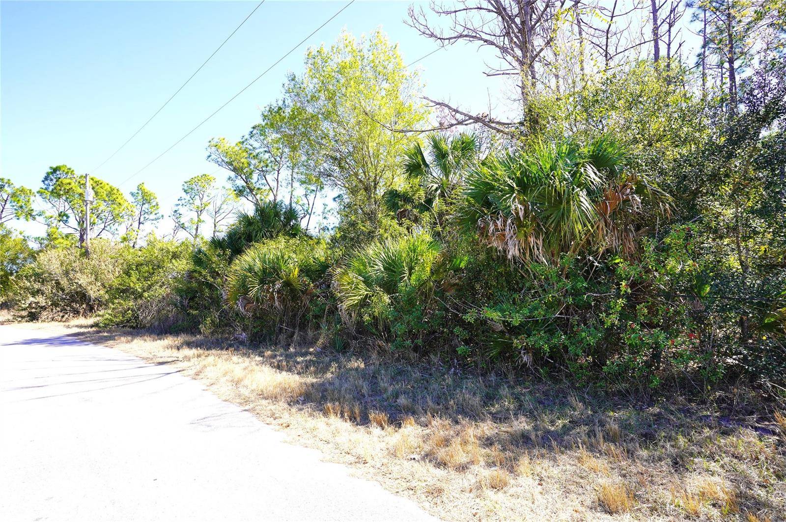 SEDBERRY AVE, North Port, FL 34288