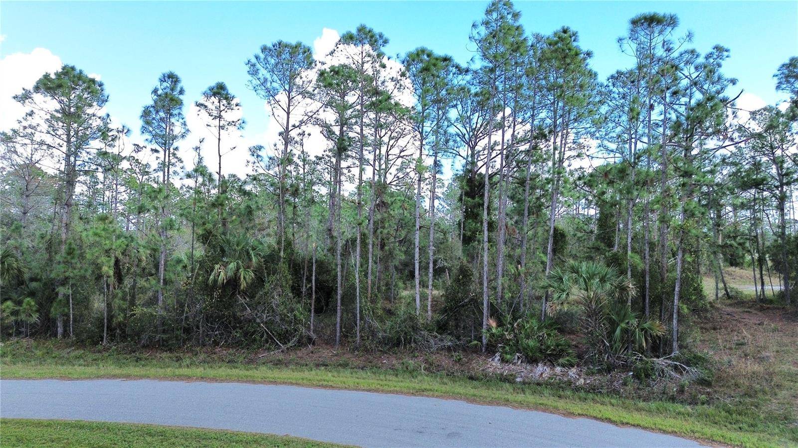 Lots 14 and 15, LATOUR AVE, North Port, FL 34291