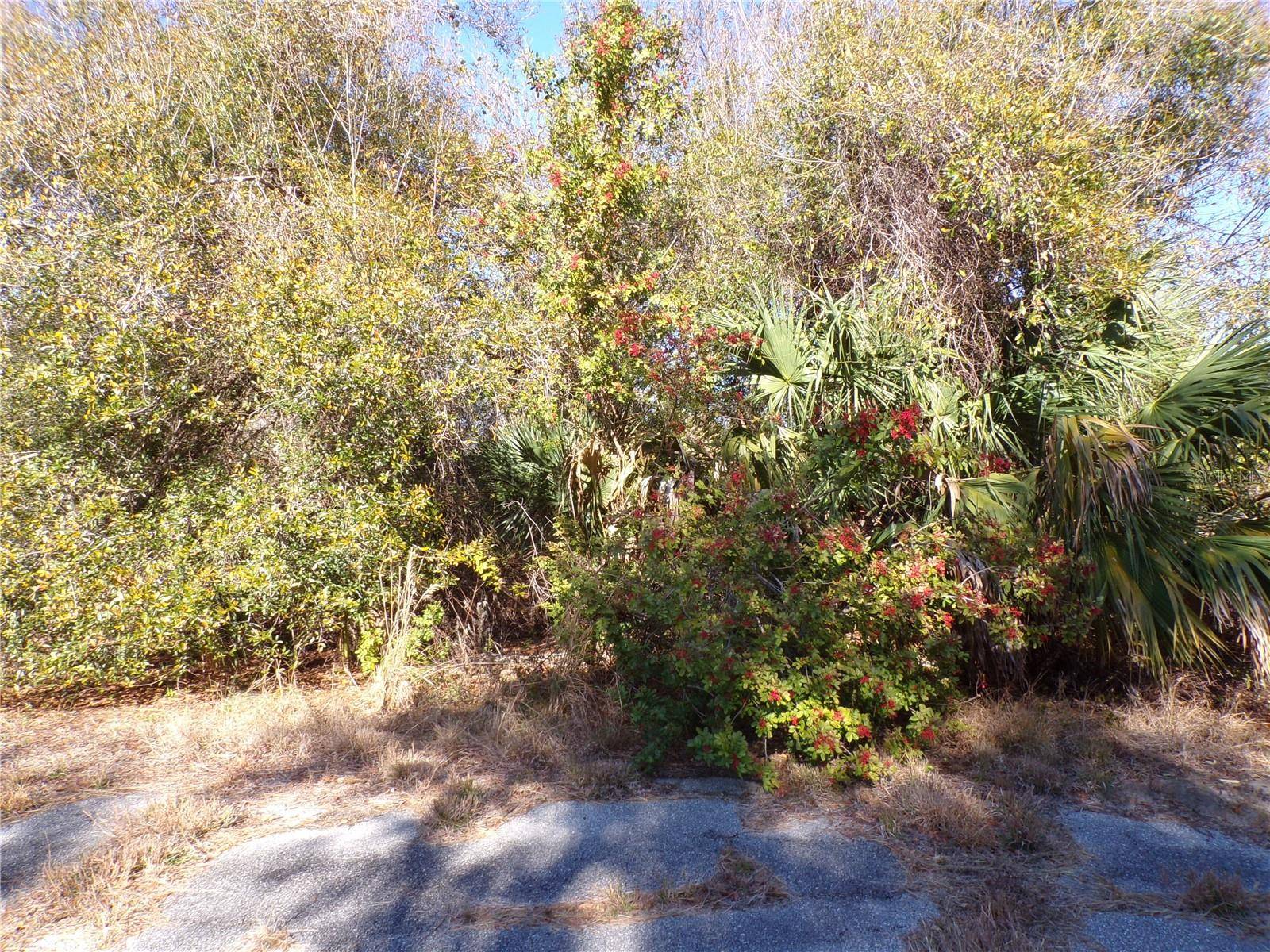HASTINGS ST, North Port, FL 34288