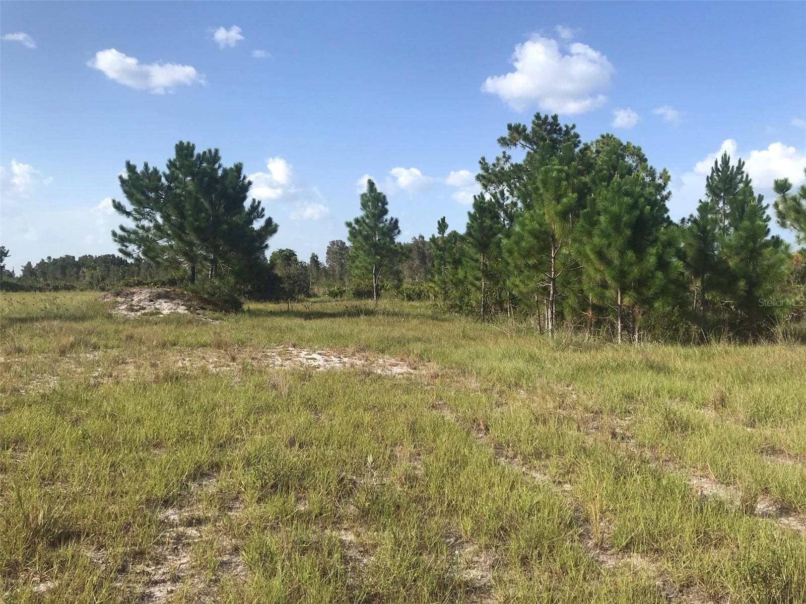 48033 BERMONT RD, Punta Gorda, FL 33982