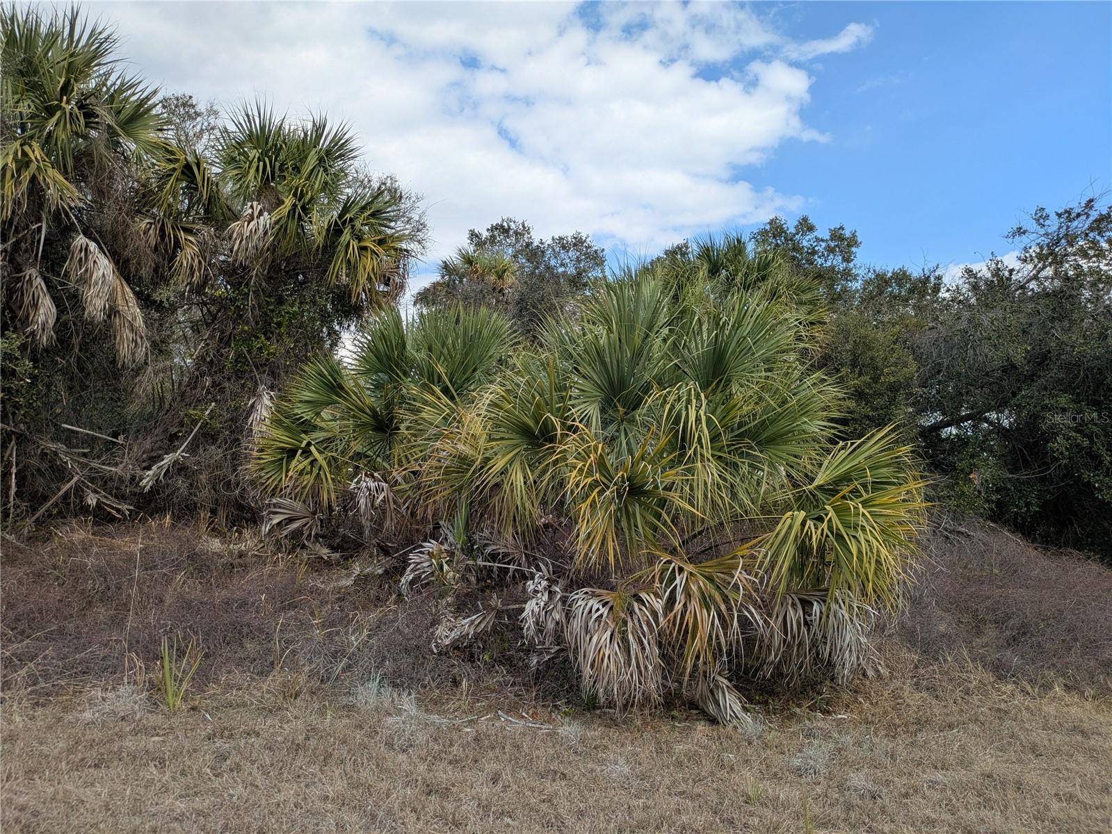 CASCO CIR, North Port, FL 34288