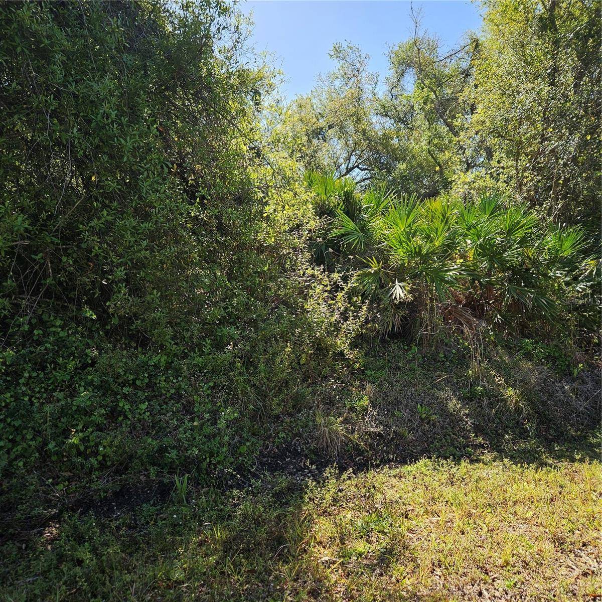 JANARO RD, North Port, FL 34288