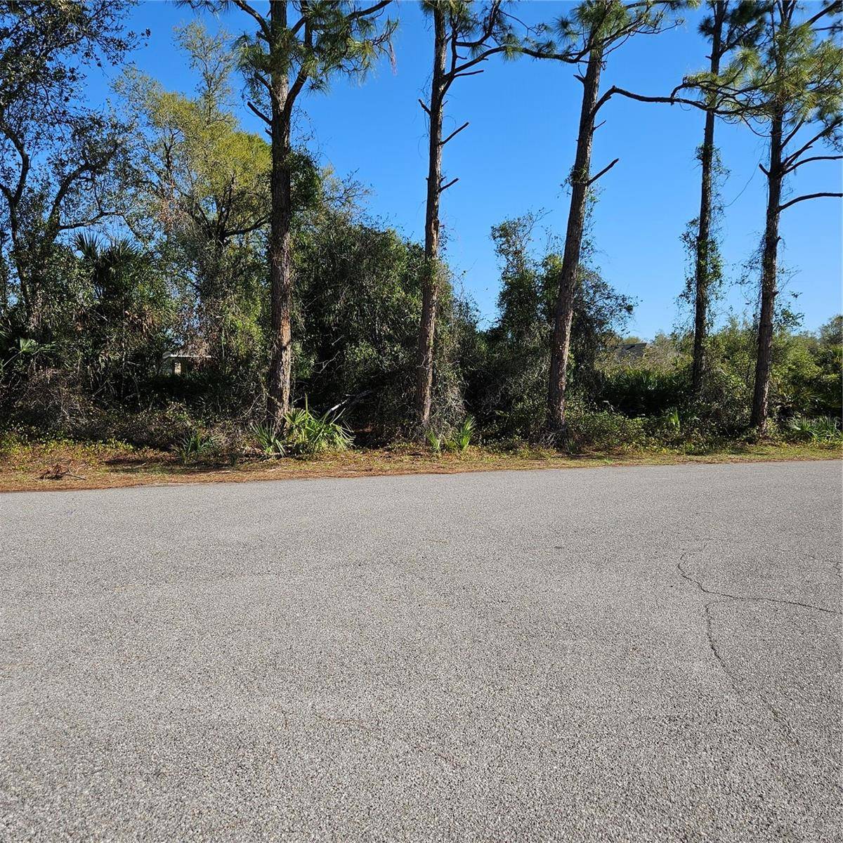 JANARO RD, North Port, FL 34288