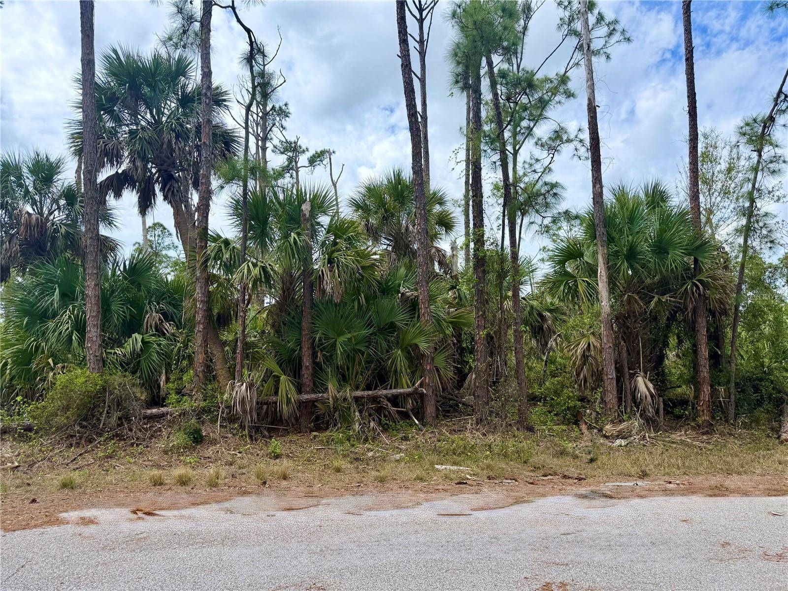 APRICOLA RD, North Port, FL 34286