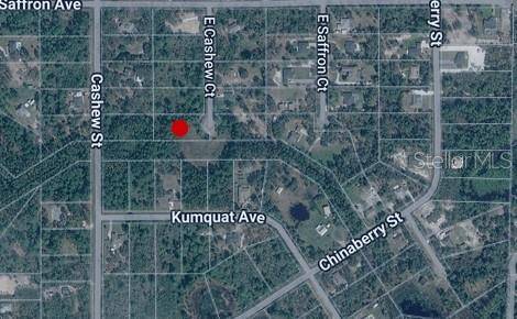 E CASHEW CT, Eustis, FL 32736