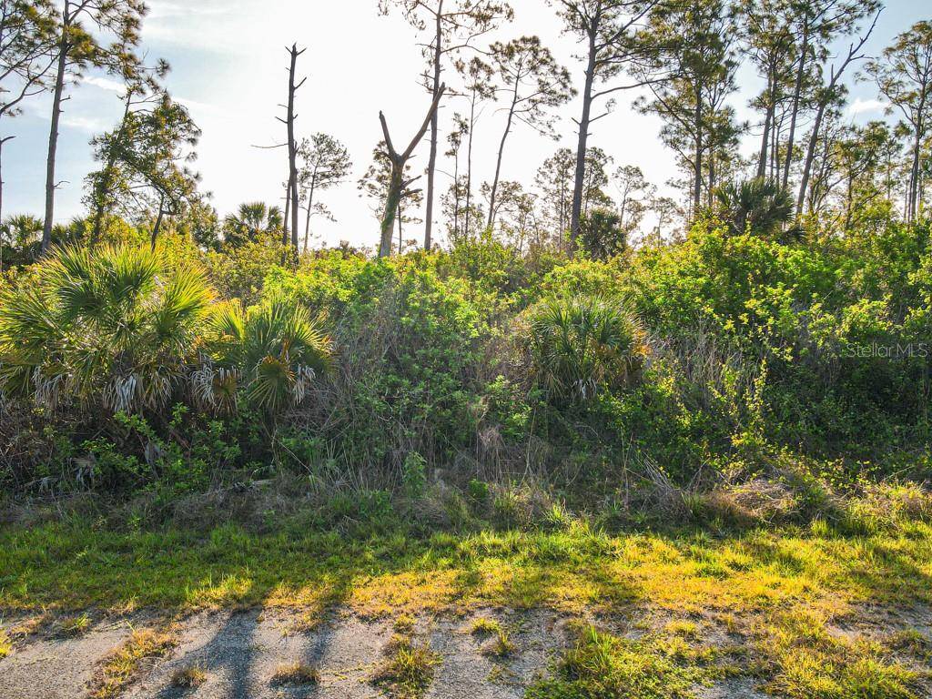 BLUELEAF DR, North Port, FL 34288
