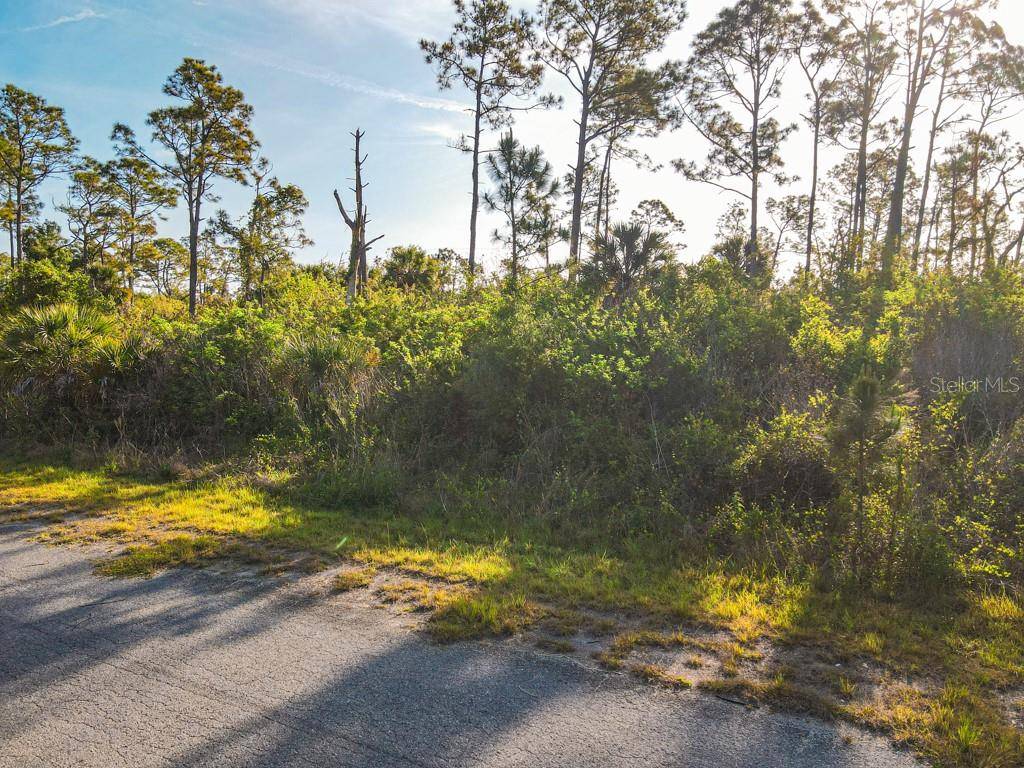 BLUELEAF DR, North Port, FL 34288