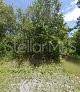 245 N ROMERO ST, Clewiston, FL 33440