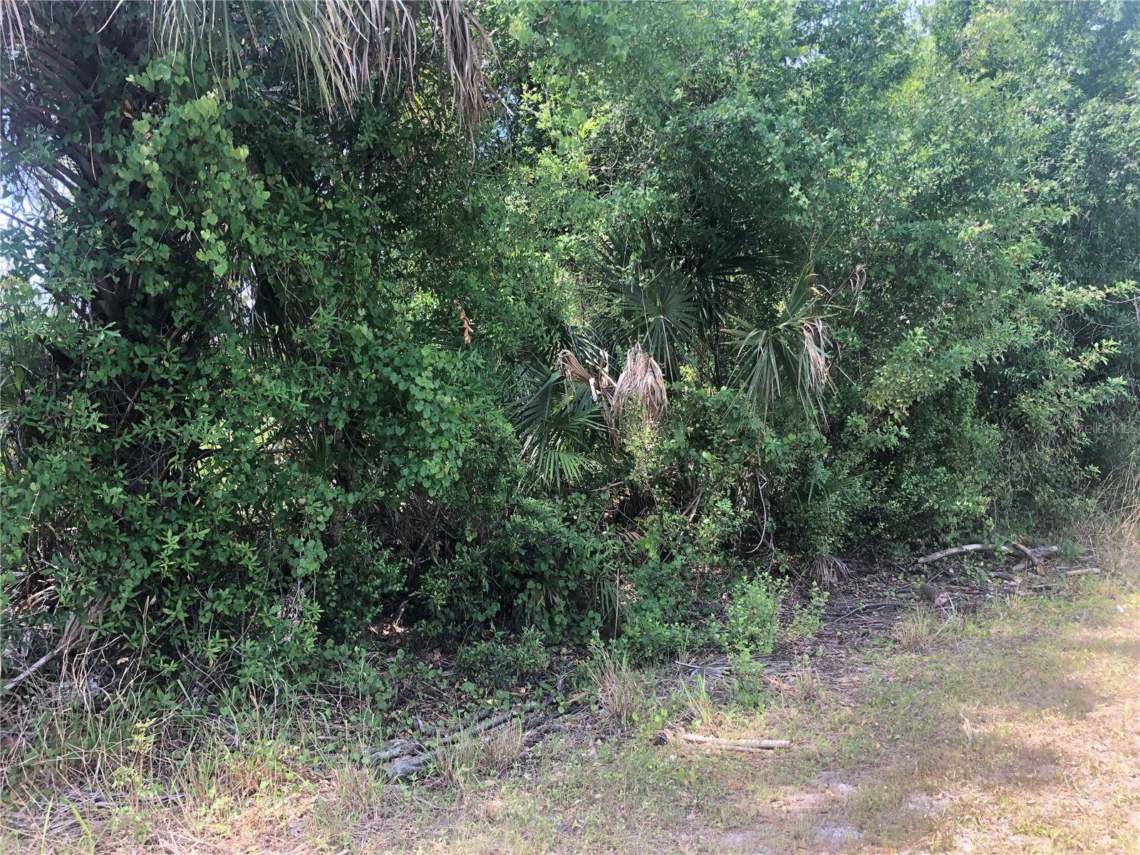 DANDURAND AVE, North Port, FL 34291