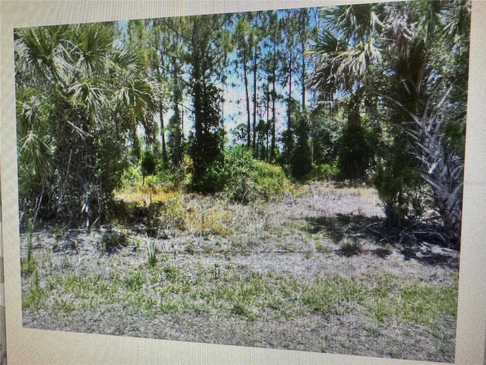 SAGO PALM RD, North Port, FL 34291