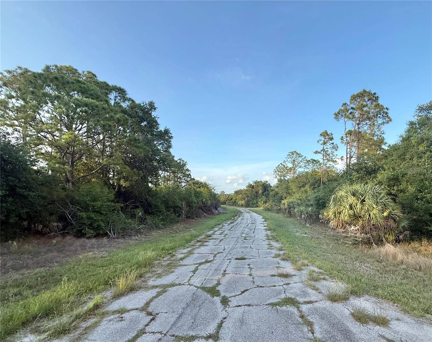 Lot 23 HINSHAW AVE, North Port, FL 34288