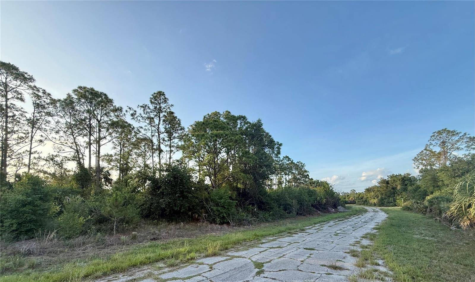 Lot 24 HINSHAW AVE, North Port, FL 34288