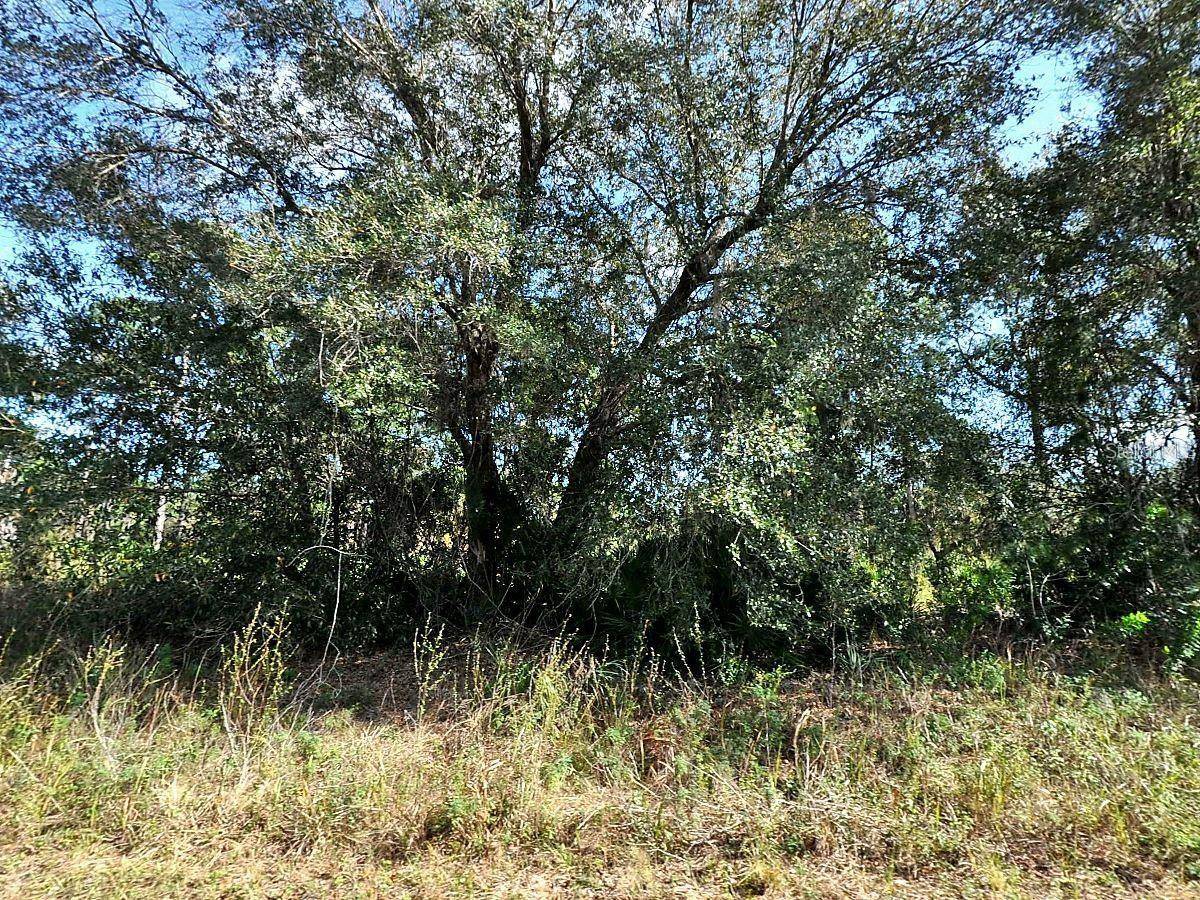 LONGFELLOW LN, North Port, FL 34288