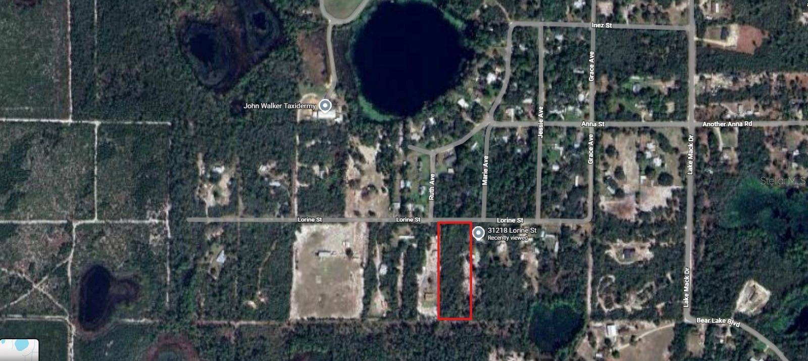 31217 LORINE ST, Deland, FL 32720