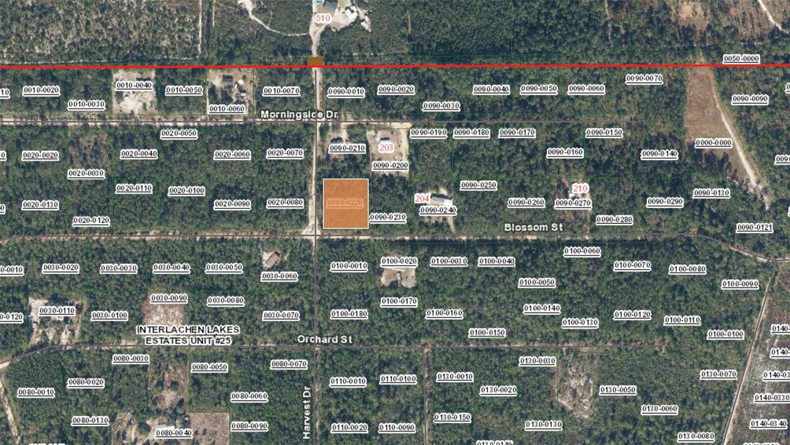 XX BLOSSOM, Florahome, FL 32140