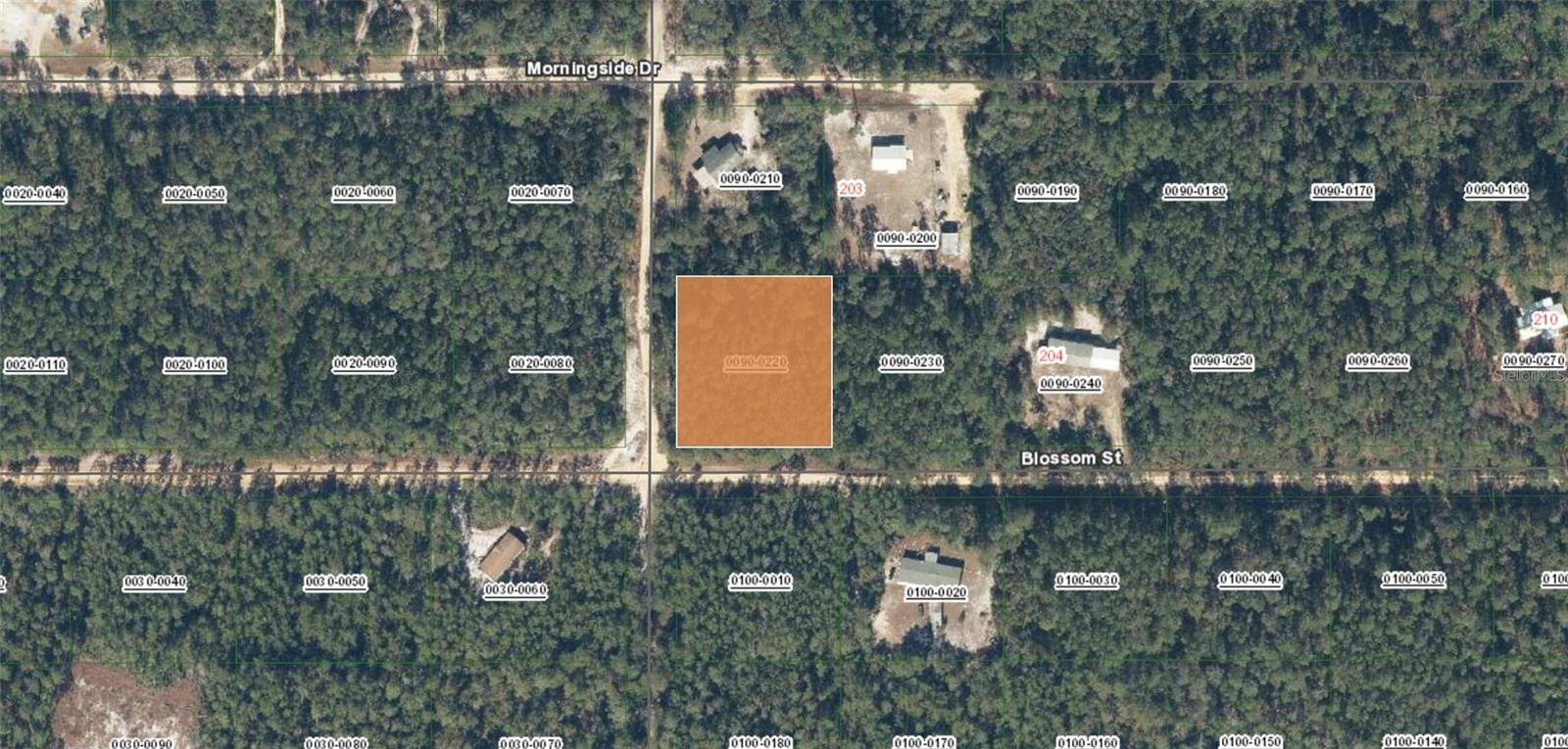 XX BLOSSOM, Florahome, FL 32140