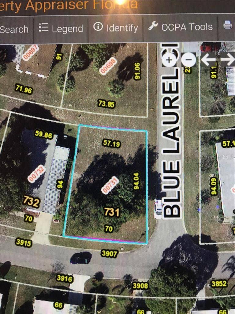 3907 COHEN DR #731, Zellwood, FL 32798