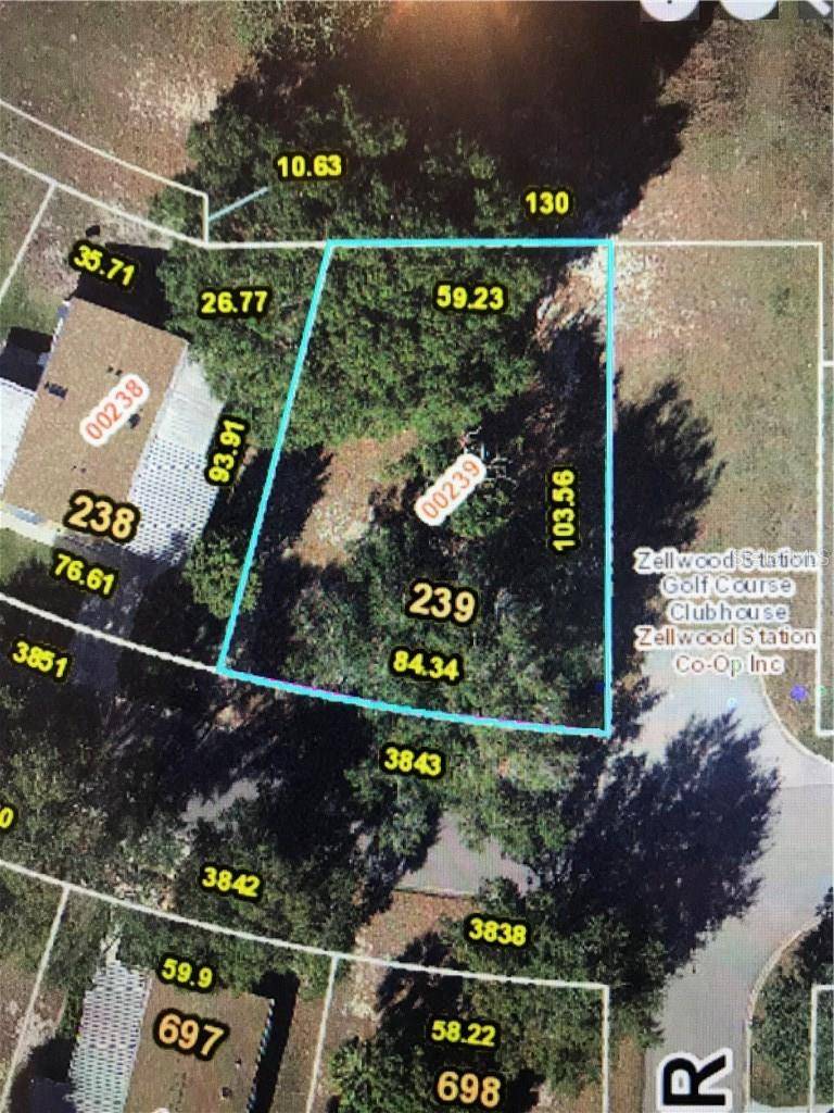 3843 N CITRUS CIR #239, Zellwood, FL 32798