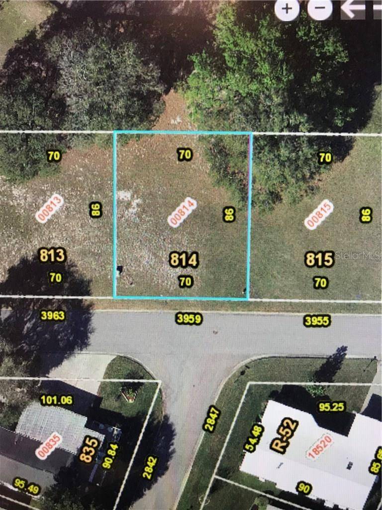3959 GREENBLUFF RD #814, Zellwood, FL 32798