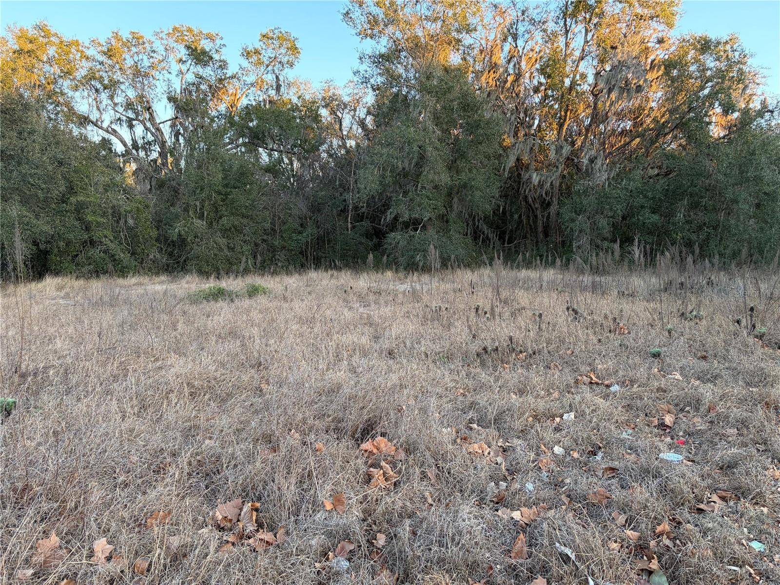 13434 MARYLAND AVE, Astatula, FL 34705
