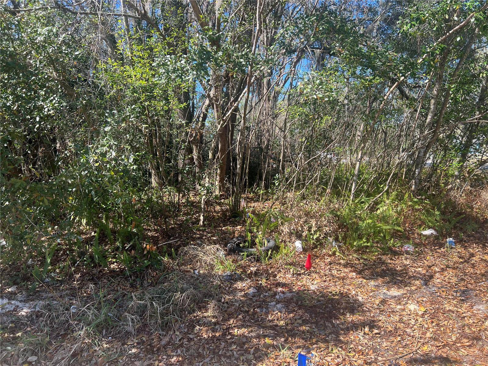0 STINSON ST, Leesburg, FL 34748