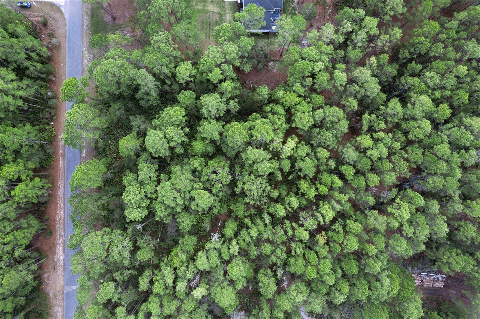 CASHEW ST, Eustis, FL 32736