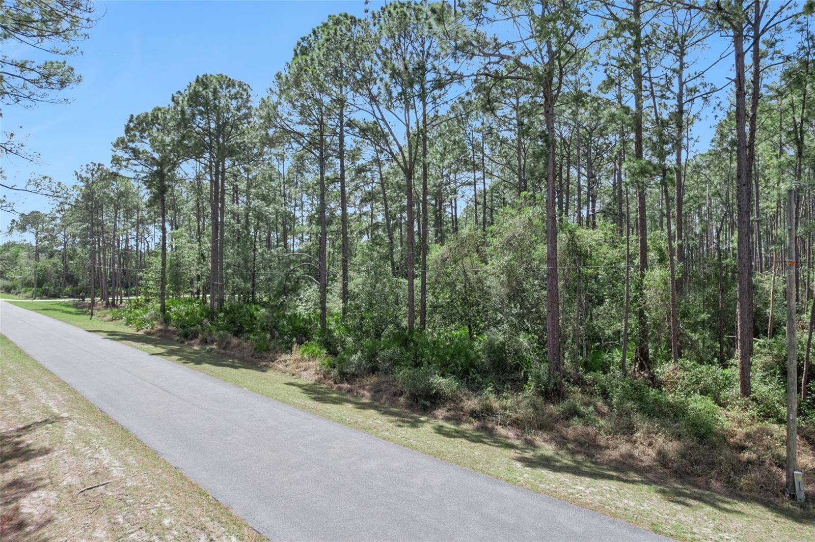 CASHEW ST, Eustis, FL 32736