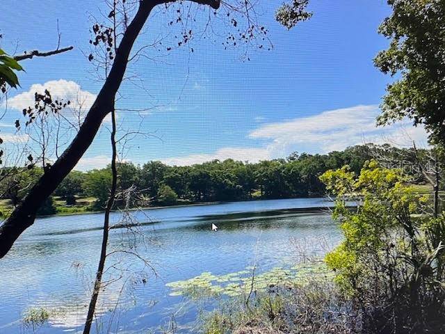 2&3 SPRING LAKE RD, Fruitland Park, FL 34731
