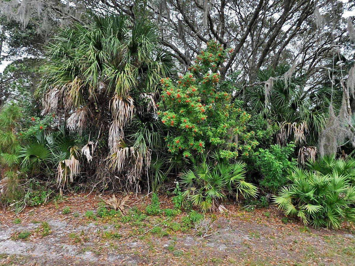 FLORALA ST, North Port, FL 34287