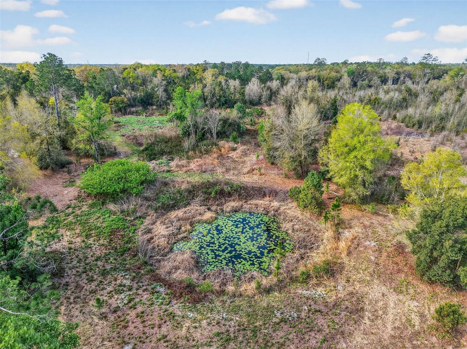 ISLAND POND LN, Eustis, FL 32736