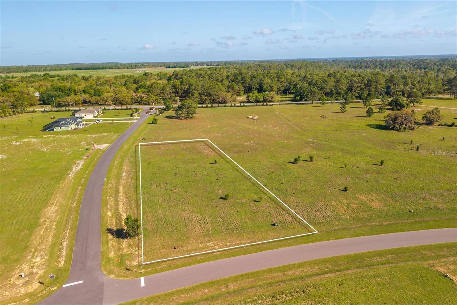 38529 WOODED MEADOW DR, Umatilla, FL 32784