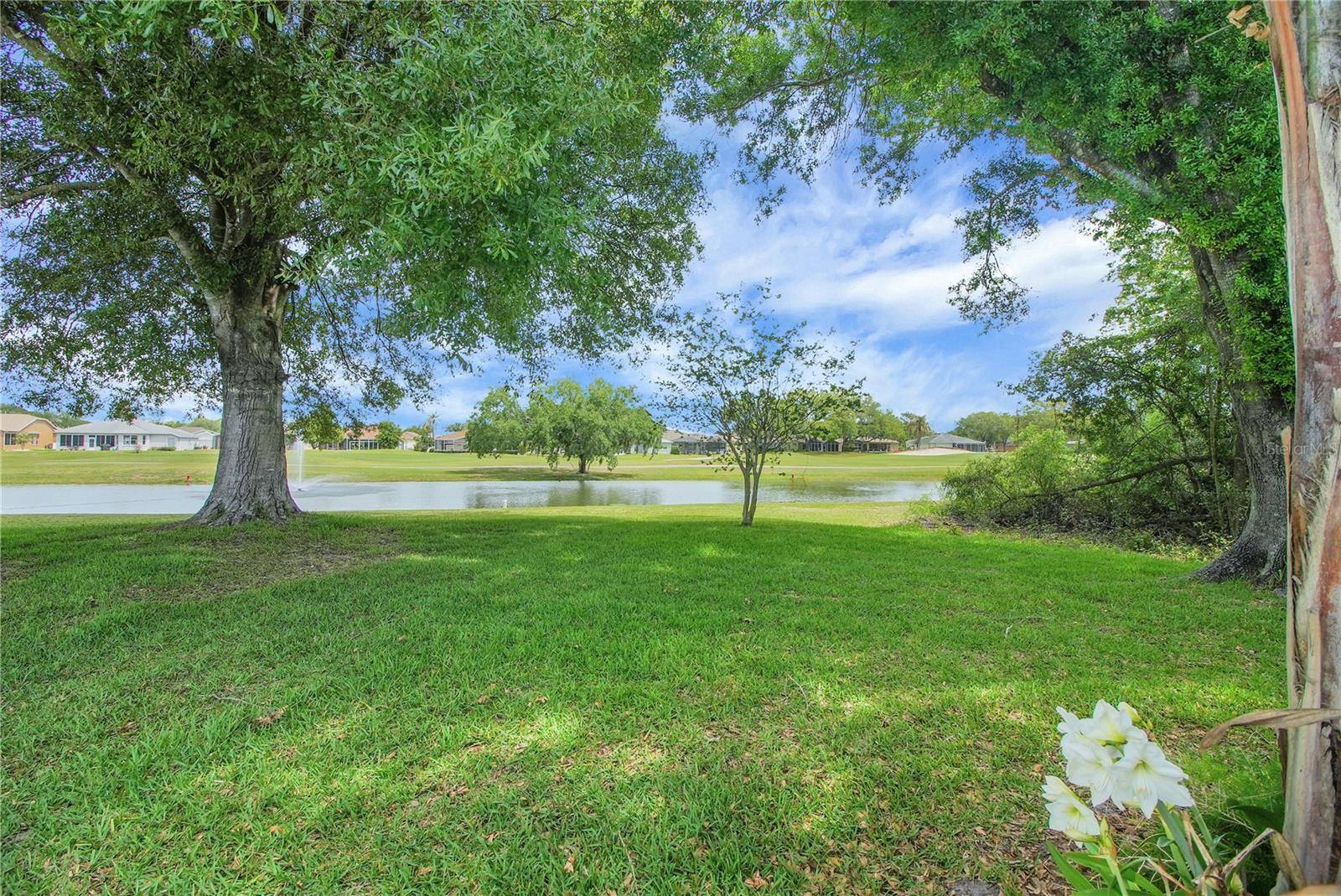 333 RANCHWOOD DR, Leesburg, FL 34748