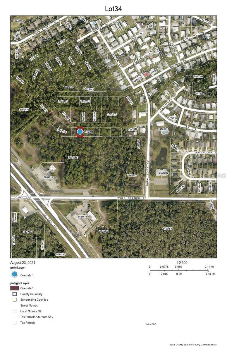 Lot 34 WOLF BRANCH RD, Mount Dora, FL 32757