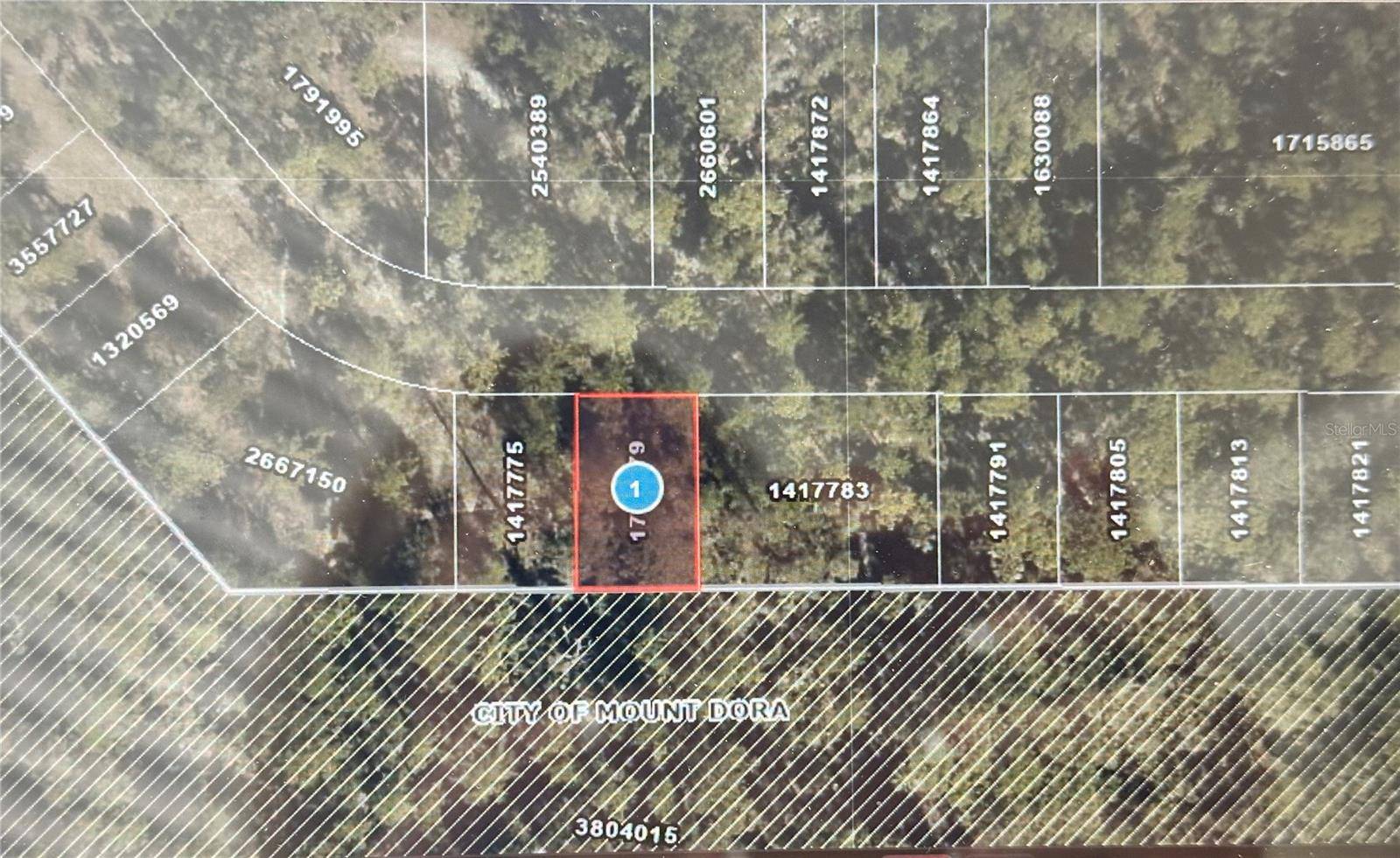 Lot 34 WOLF BRANCH RD, Mount Dora, FL 32757