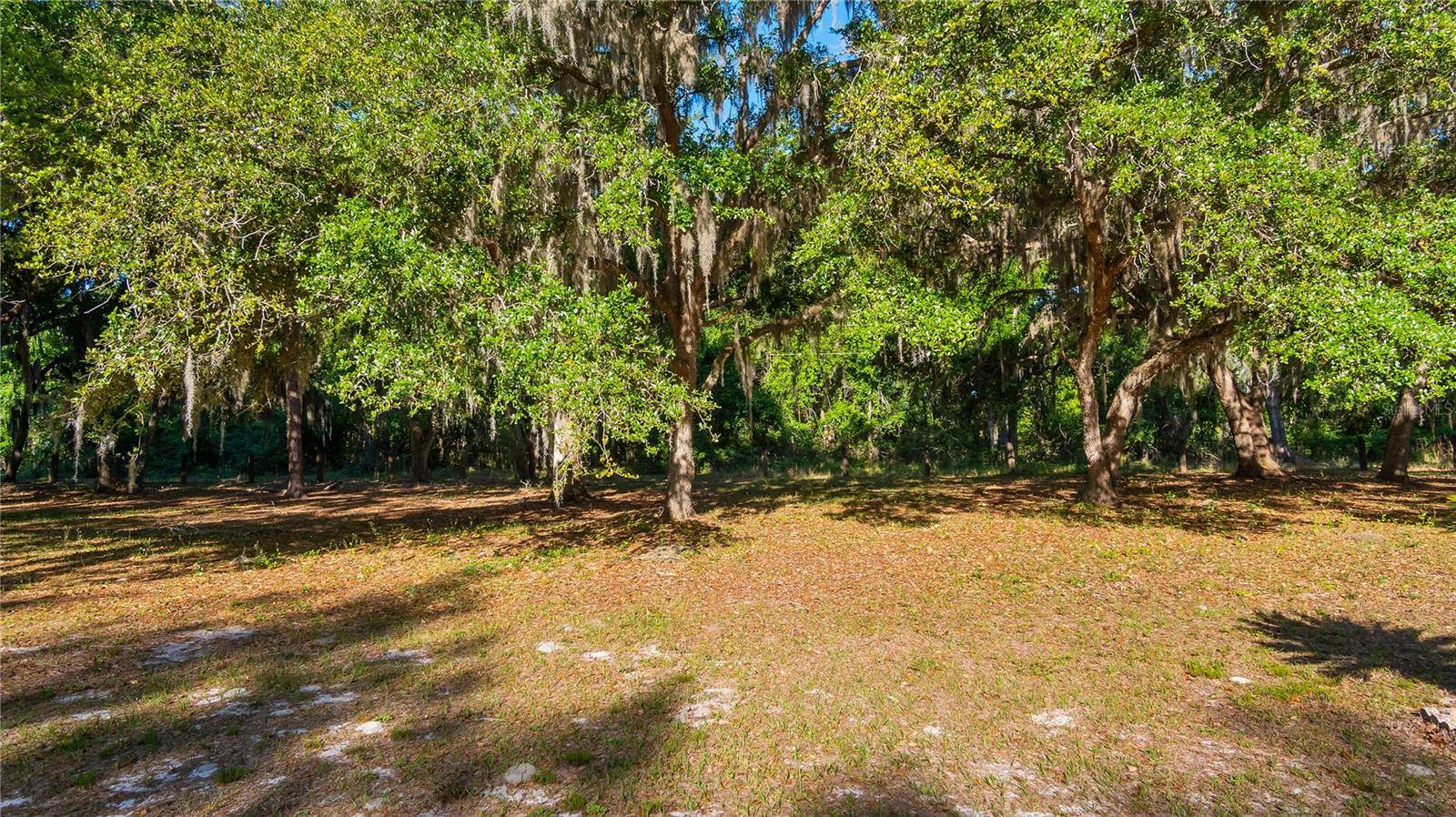 LEGACY WOODS, Groveland, FL 34736