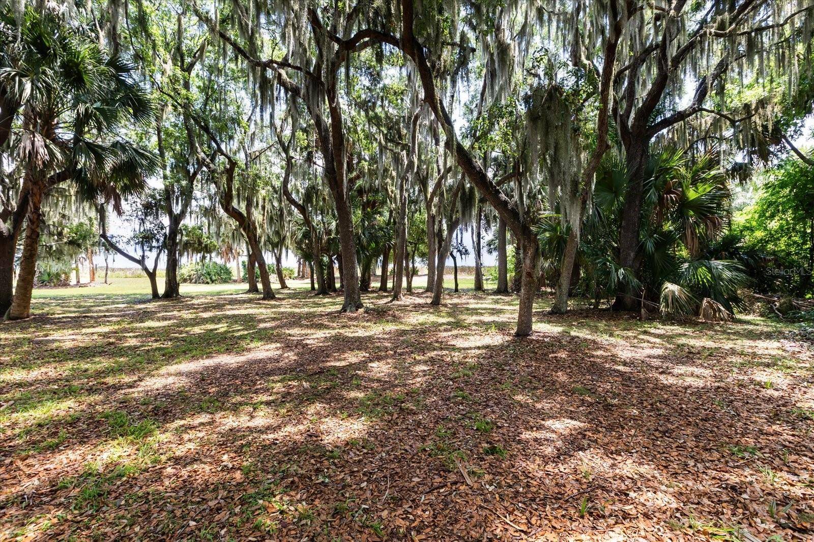 TBD DEER ISLAND RD, Tavares, FL 32778