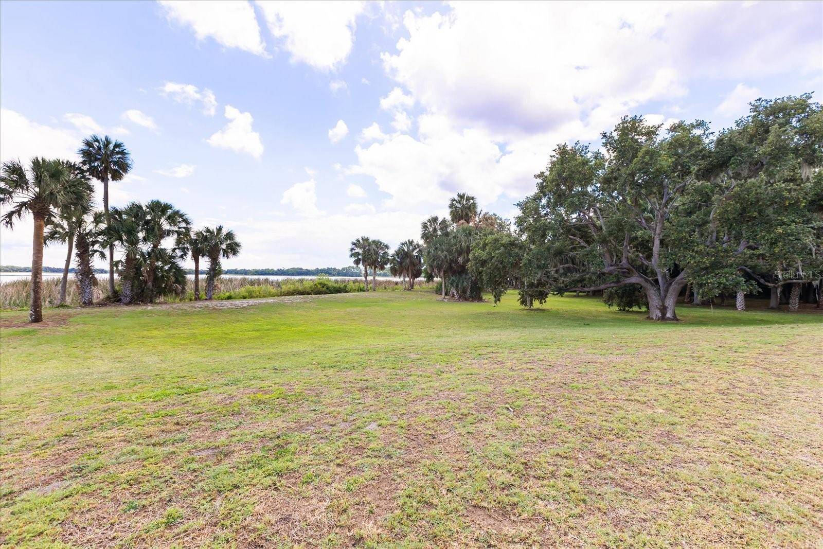 TBD DEER ISLAND RD, Tavares, FL 32778