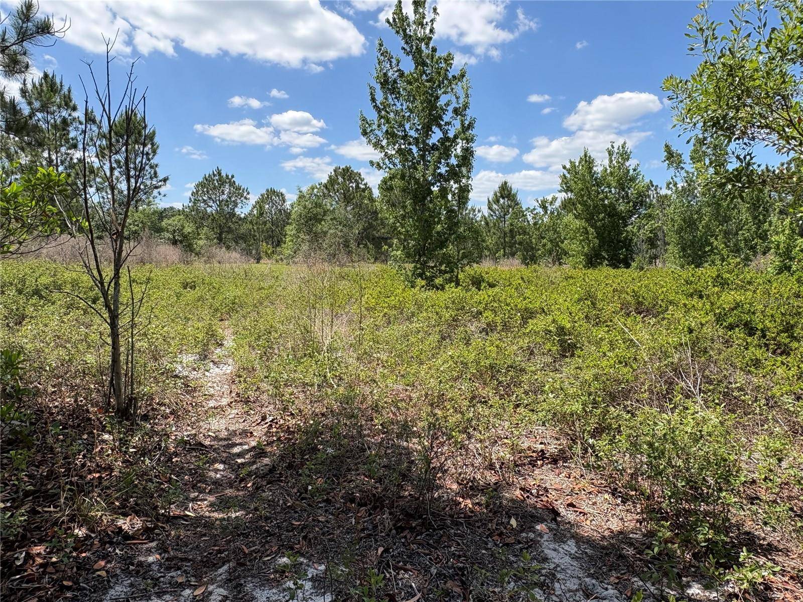SAN JUAN AVE, Polk City, FL 33868