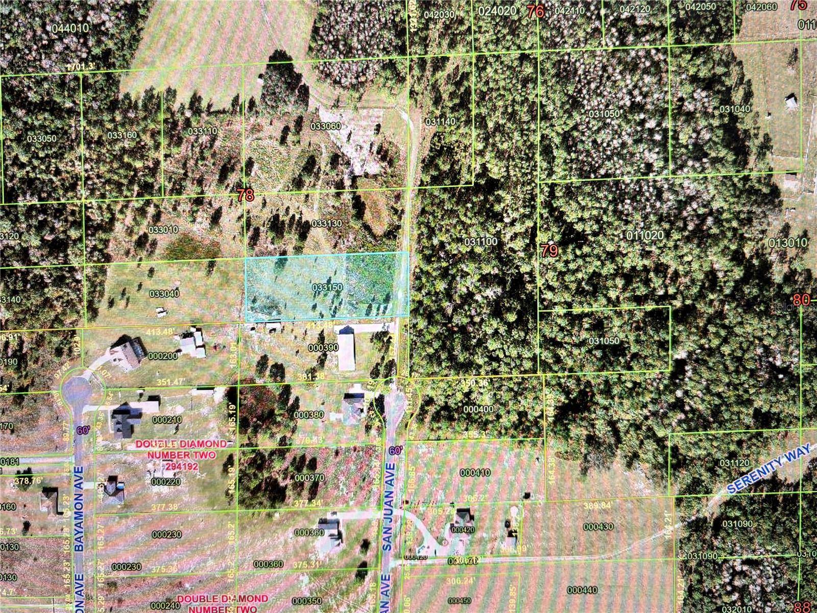 SAN JUAN AVE, Polk City, FL 33868