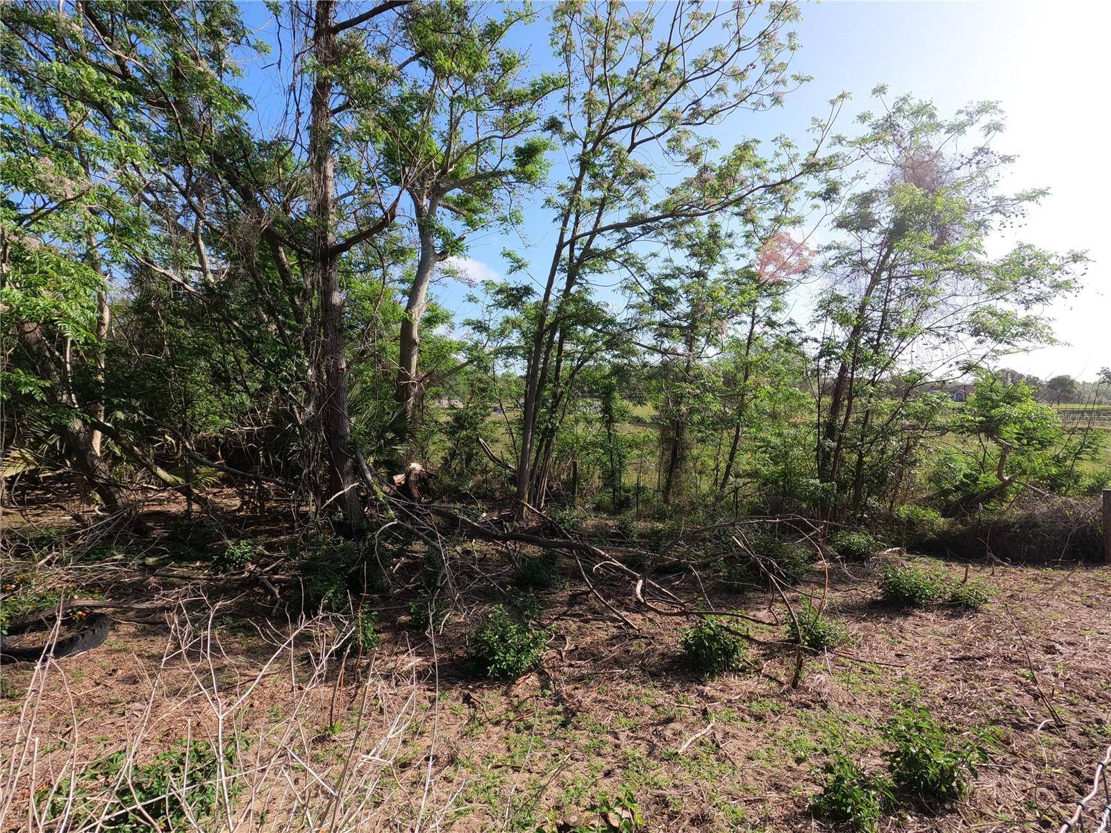 0 EARTH STAR LN, Groveland, FL 34736