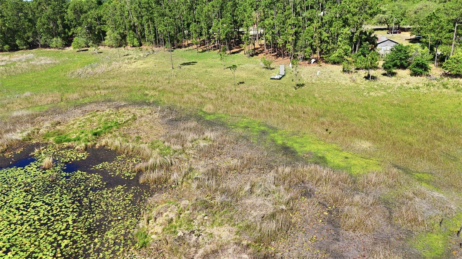 TBD HOLLY BRANCH RD, Eustis, FL 32736
