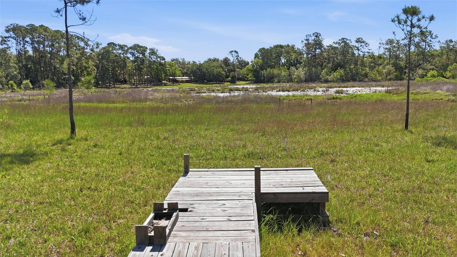 TBD HOLLY BRANCH RD, Eustis, FL 32736