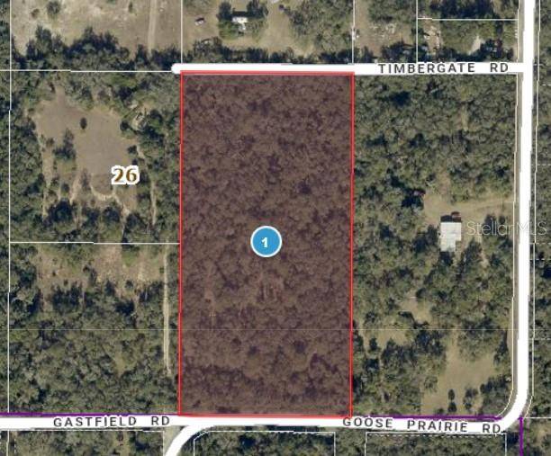 10755 GOOSE PRAIRIE RD, Leesburg, FL 34788