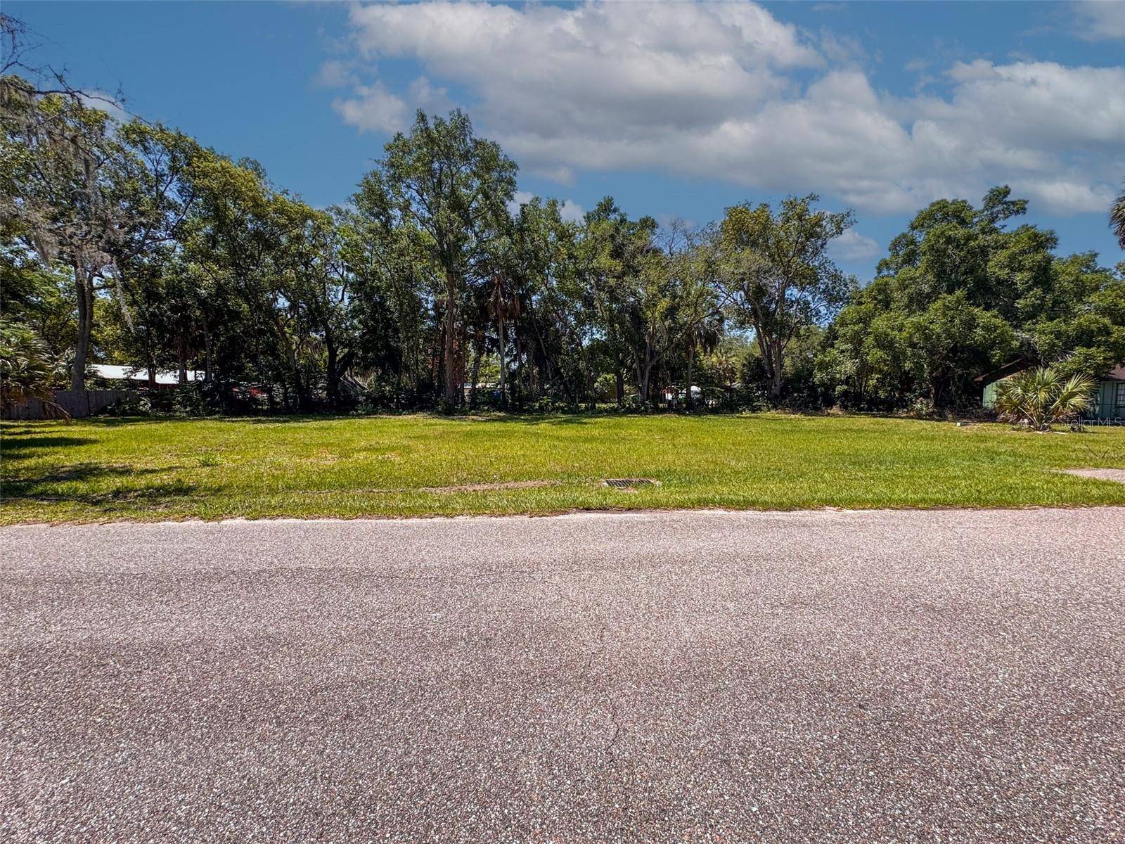 Lot 00200 LENORD ST, Umatilla, FL 32784