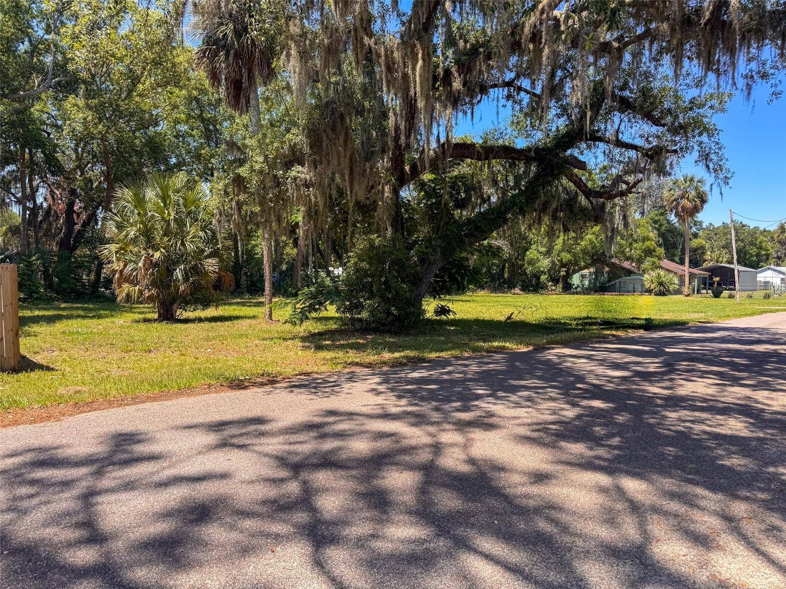 Lot 00200 LENORD ST, Umatilla, FL 32784