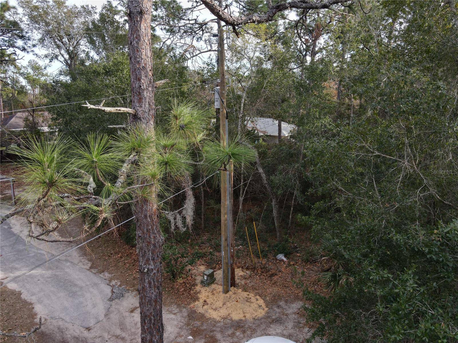 W SEVENTH AVE, Umatilla, FL 32784