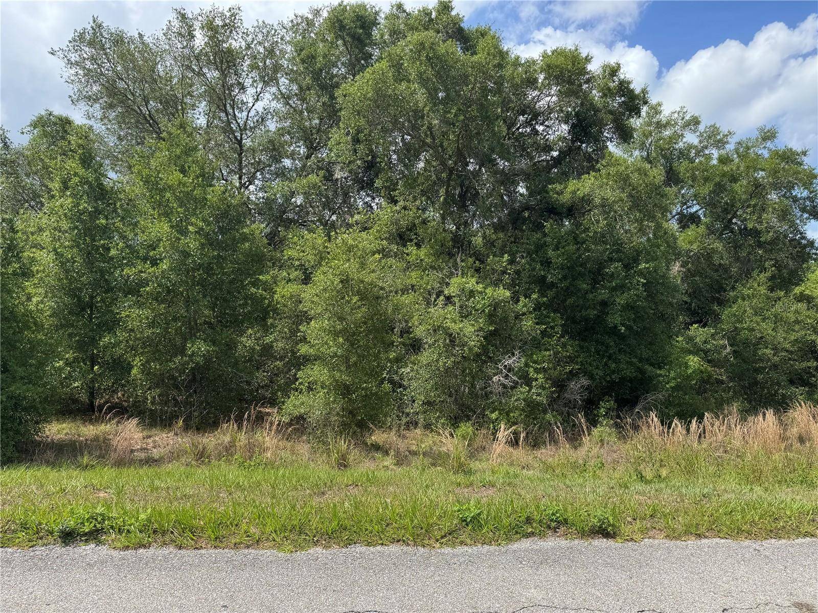 TBD KEENE RD, Altoona, FL 32702